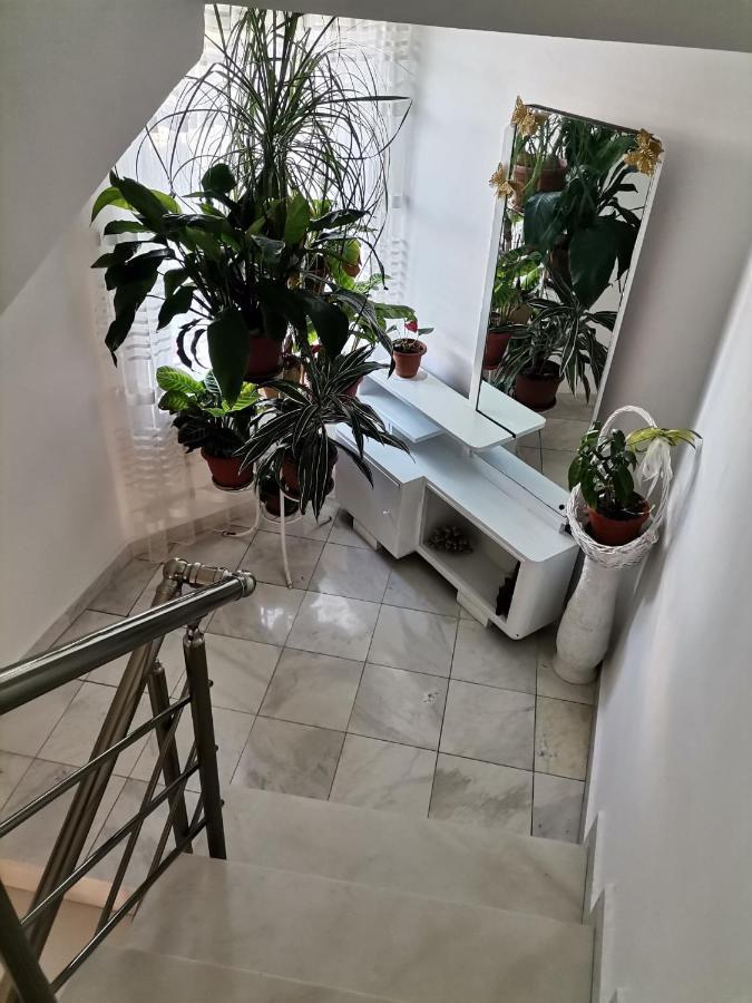 Guest House Konomaevi Созополь Екстер'єр фото