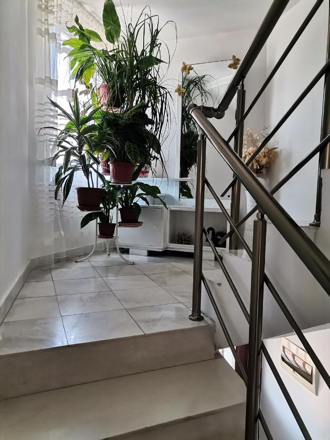 Guest House Konomaevi Созополь Екстер'єр фото
